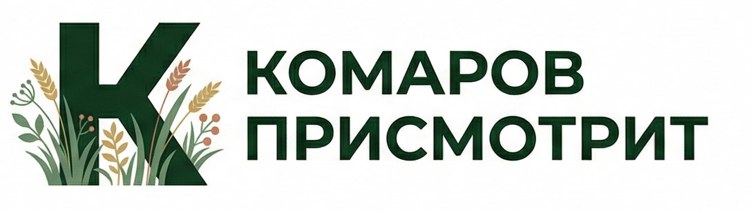 Комаров присмотрит — уход за захоронениями